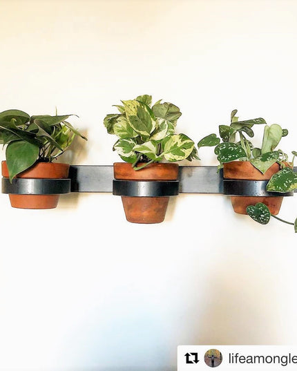 The Yonkers Horizontal Steel Planter