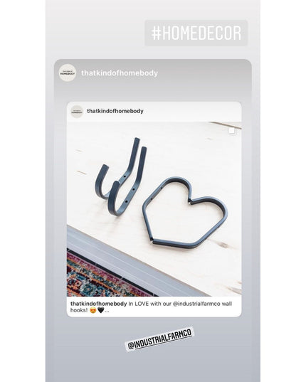 Black metal Industrial Farm Co Stewart double wall hooks mounted on white shiplap wall above colorful patterned rug