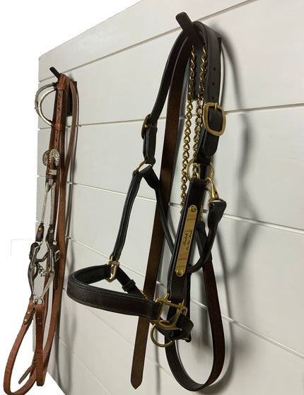 The Tator Wall Mounted Hook