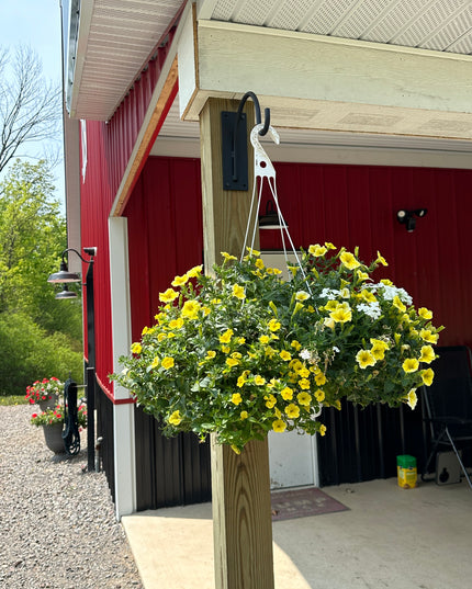 The Gregory Shepherd Hook