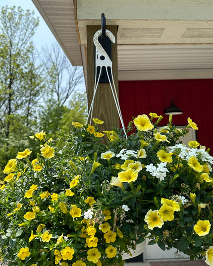 The Gregory Shepherd Hook