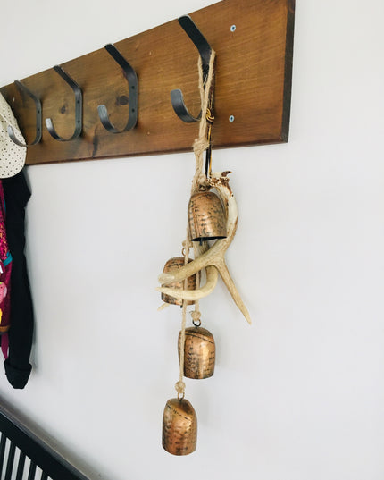 The Henrietta 1" Wide Double Hook