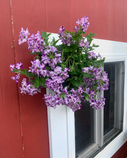 The Smoral Handmade Pot Holder