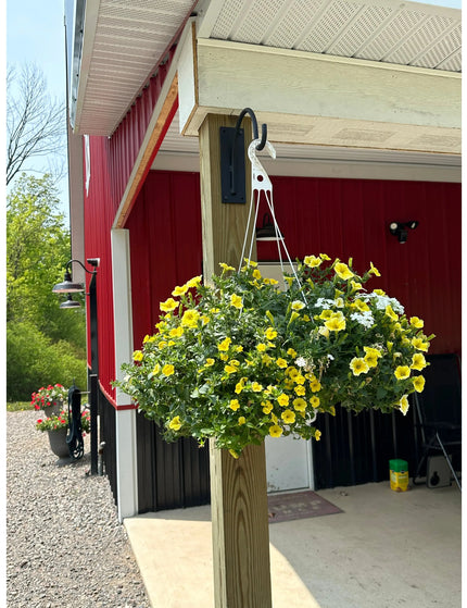 The Gregory Shepherd Hook Hook Clear Coat Backplate Wall Mount Length 3" x 9" | Industrial Farm Co