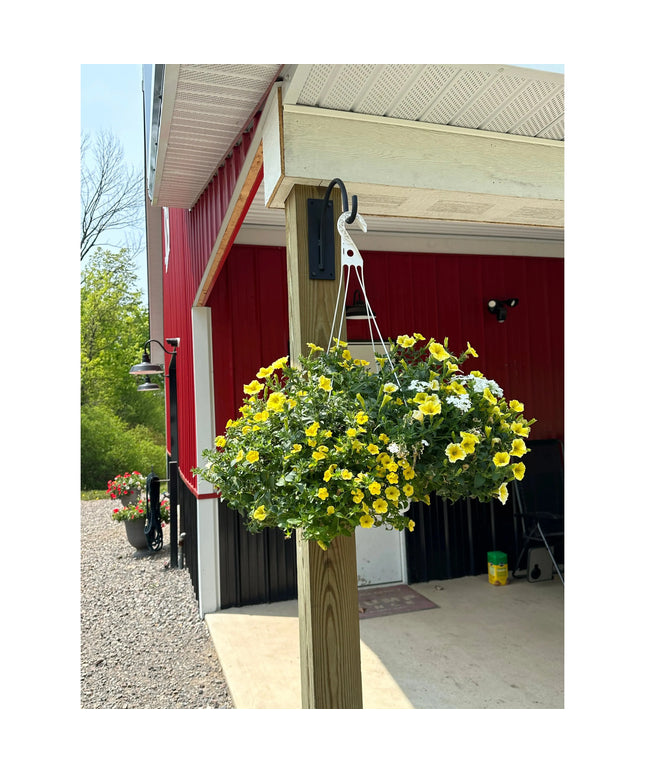 The Gregory Shepherd Hook Hook Clear Coat Backplate Wall Mount Length 3" x 9" | Industrial Farm Co