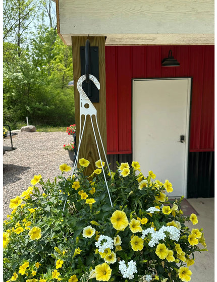 The Gregory Shepherd Hook Hook Gold Powder Coat Backplate Wall Mount Length 3" x 6" | Industrial Farm Co