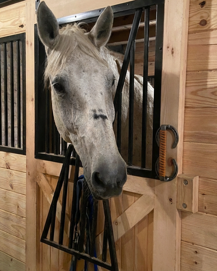 Bermuda Horseshoe Door Handle | Leather Wrap | Handmade USA