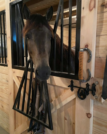 Bermuda Horseshoe Door Handle | Leather Wrap | Handmade USA