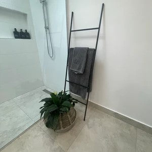 The Lynn Metal Ladder