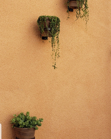 The Hudson Wall Mounted Potholder