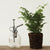 Petite Glass Plant Mister Plant Mister    | Industrial Farm Co