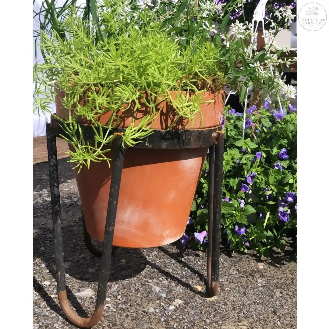 The Dorio Raised Planter Planter 6" Depth 12" Tall | Industrial Farm Co