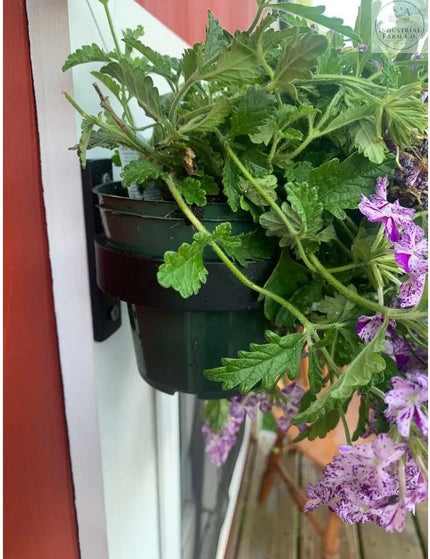The Smoral Handmade Pot Holder Plant Holder 4" Pot Finish Black Powder Coat | Industrial Farm Co