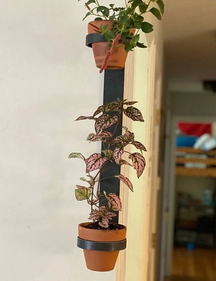 The Watertown Wall Mount Vertical Planter Plant Holder 20" Style 4" Pots | Industrial Farm Co